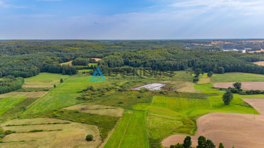 Działka rolna Rekowo Bytowskie 2500 m2 - zdjęcie 4