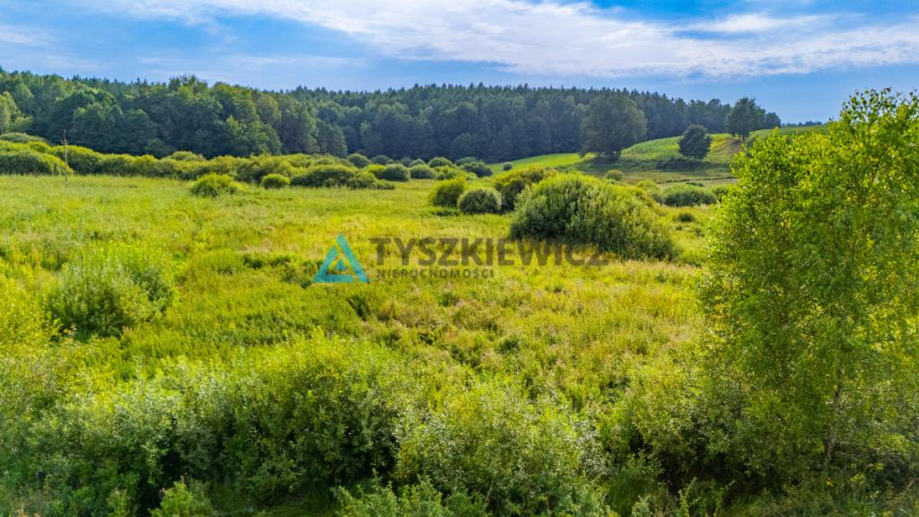 Działka rolna Rekowo Bytowskie 2500 m2 - zdjęcie 5