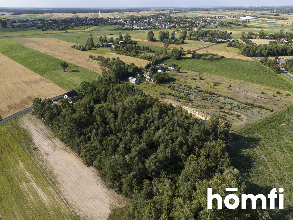 Działka inwestycyjna 1,31&nbsp;ha, Domanin - zdjęcie 7