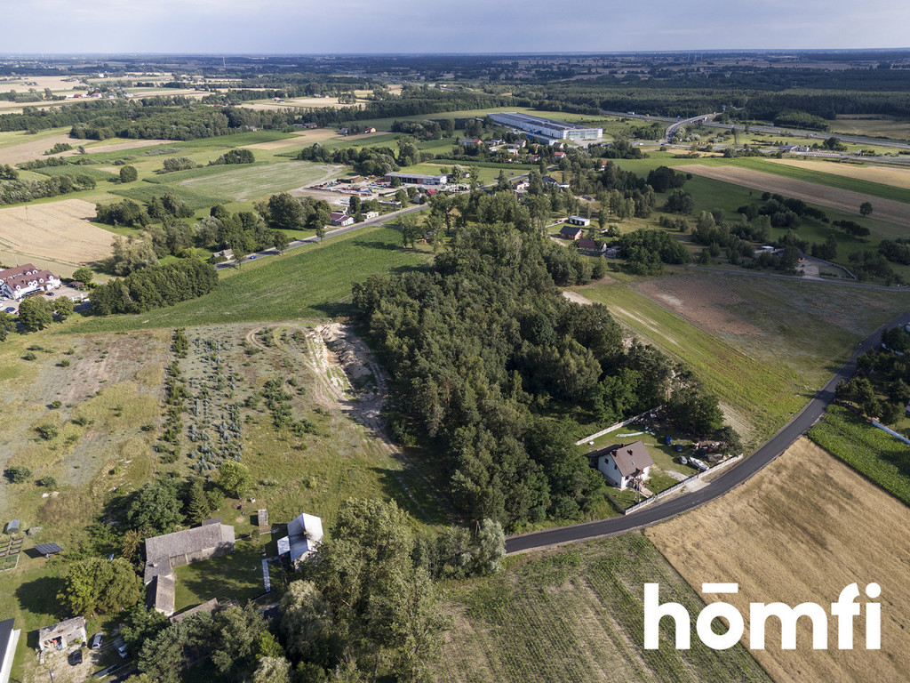 Działka inwestycyjna 1,31&nbsp;ha, Domanin - zdjęcie 8