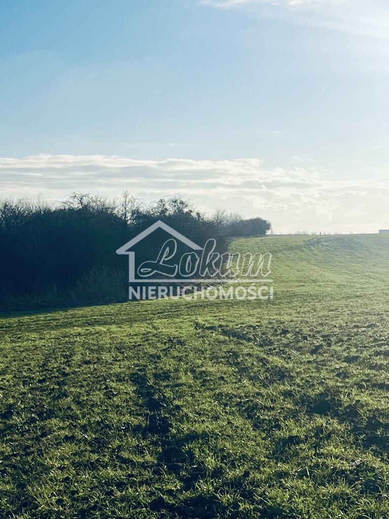 Działka budowlana 28&nbsp;500,00&nbsp;ha, Skórka, Wiśniowa - zdjęcie 2