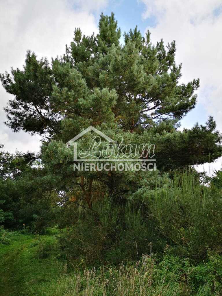 Działka budowlana 1,85&nbsp;ha, Świeszewo - zdjęcie 9