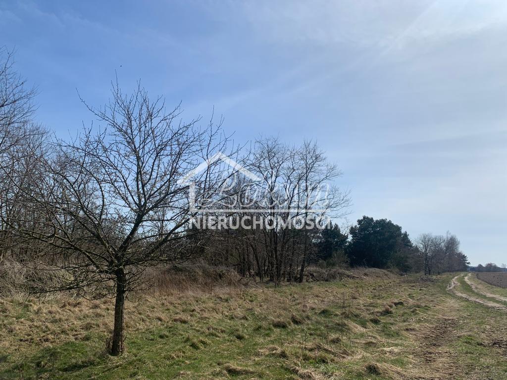 Działka budowlana 1,85&nbsp;ha, Świeszewo - zdjęcie 16