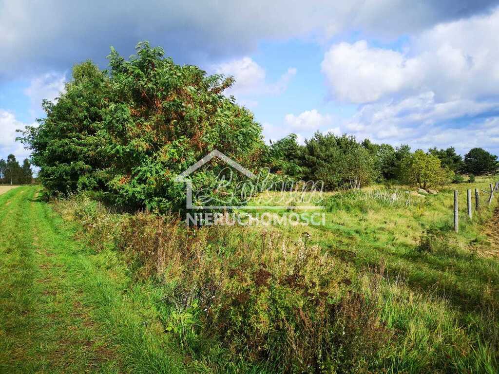 Działka budowlana 1,85&nbsp;ha, Świeszewo - zdjęcie 4