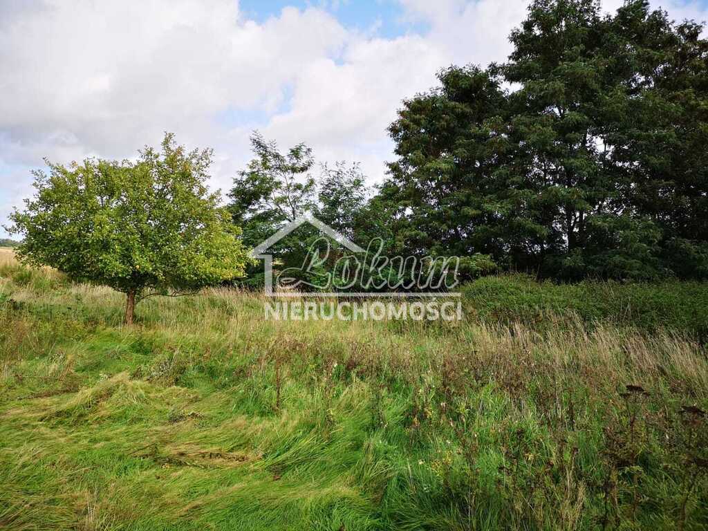 Działka budowlana 1,85&nbsp;ha, Świeszewo - zdjęcie 10