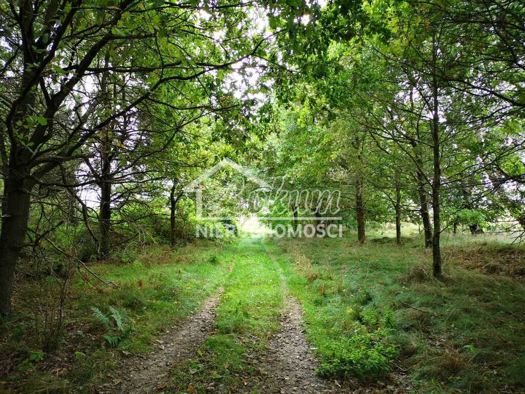 Działka budowlana 1,85&nbsp;ha, Świeszewo - zdjęcie 6