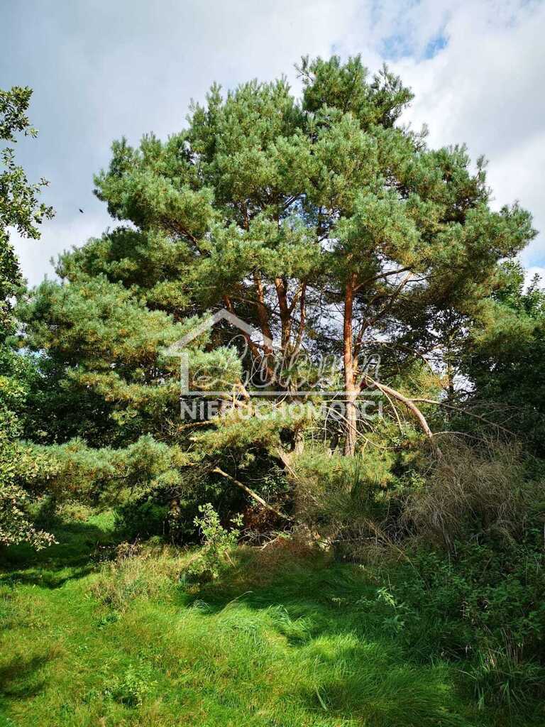 Działka budowlana 1,85&nbsp;ha, Świeszewo - zdjęcie 7