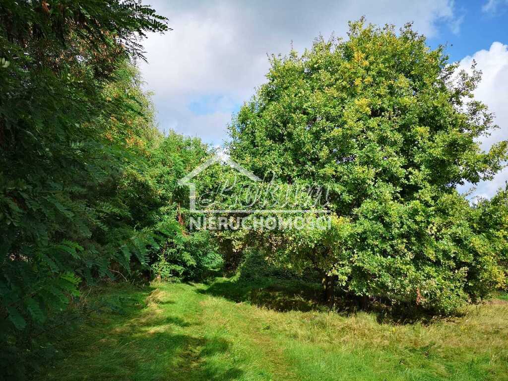 Działka budowlana 1,85&nbsp;ha, Świeszewo - zdjęcie 1