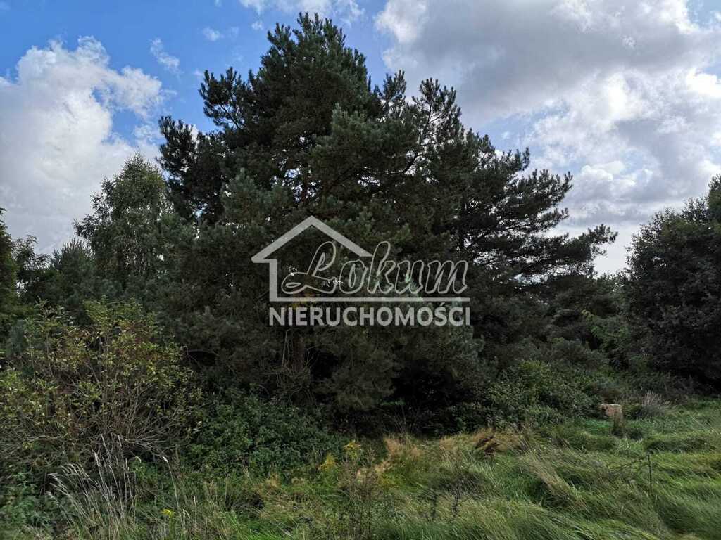 Działka budowlana 1,85&nbsp;ha, Świeszewo - zdjęcie 13