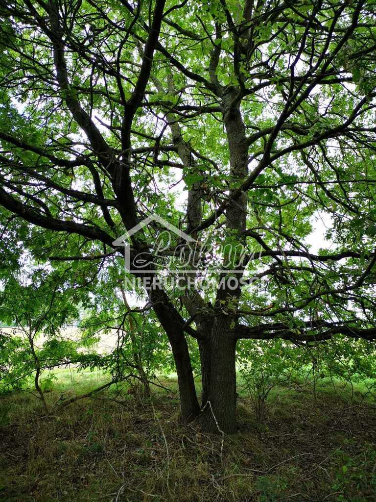 Działka budowlana 1,85&nbsp;ha, Świeszewo - zdjęcie 5