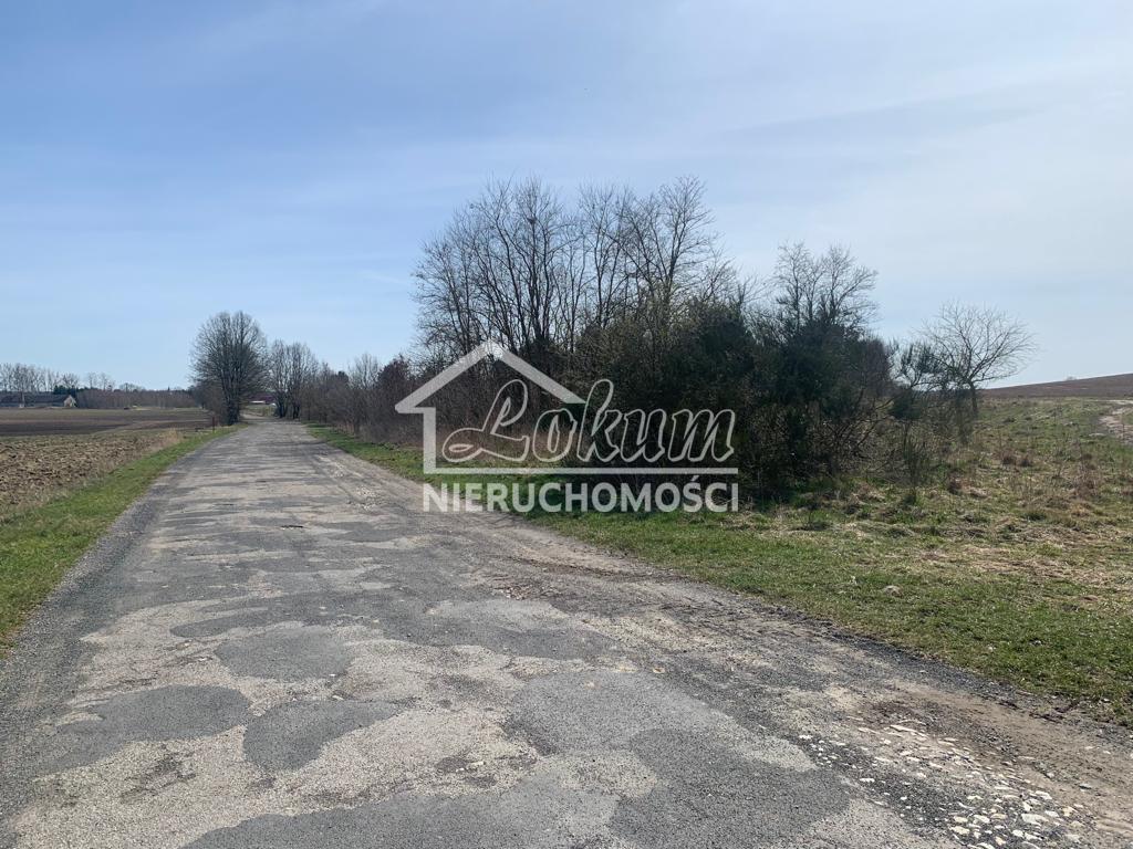 Działka budowlana 1,85&nbsp;ha, Świeszewo - zdjęcie 14