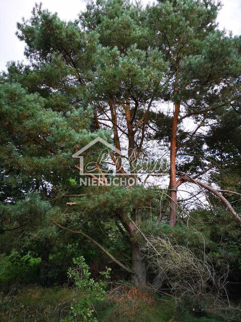 Działka budowlana 1,85&nbsp;ha, Świeszewo - zdjęcie 8