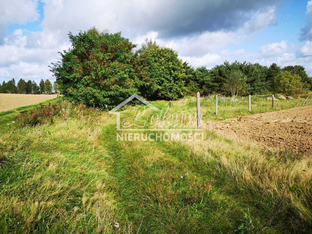 Działka budowlana 1,85&nbsp;ha, Świeszewo - zdjęcie 3