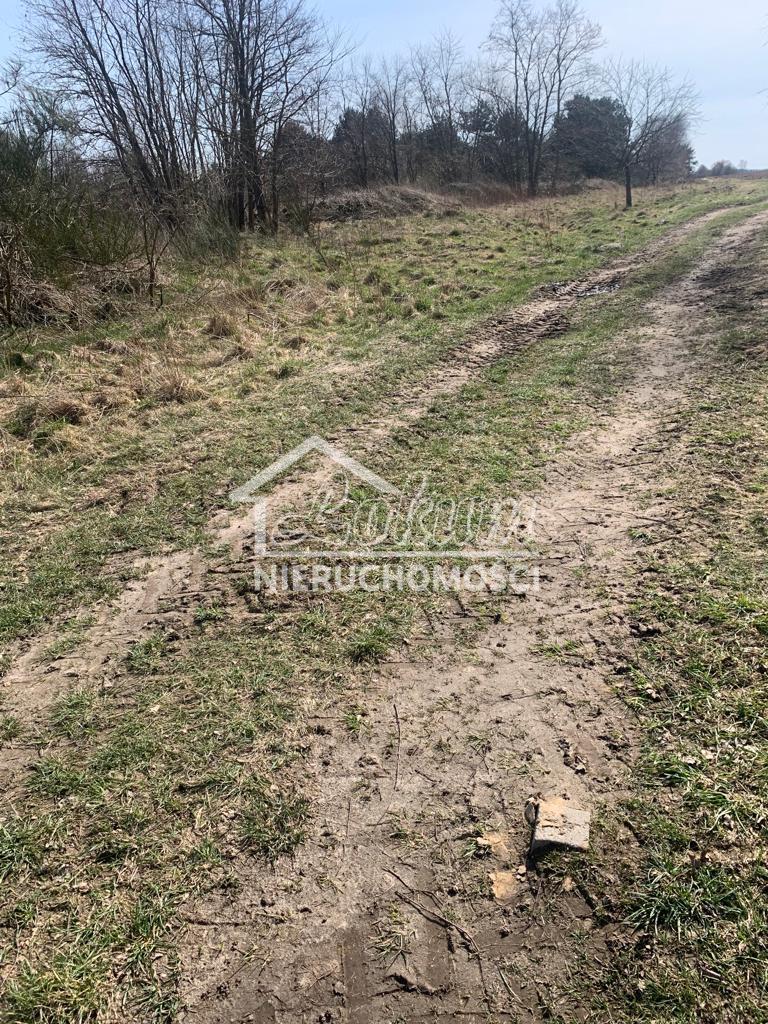 Działka budowlana 1,85&nbsp;ha, Świeszewo - zdjęcie 15