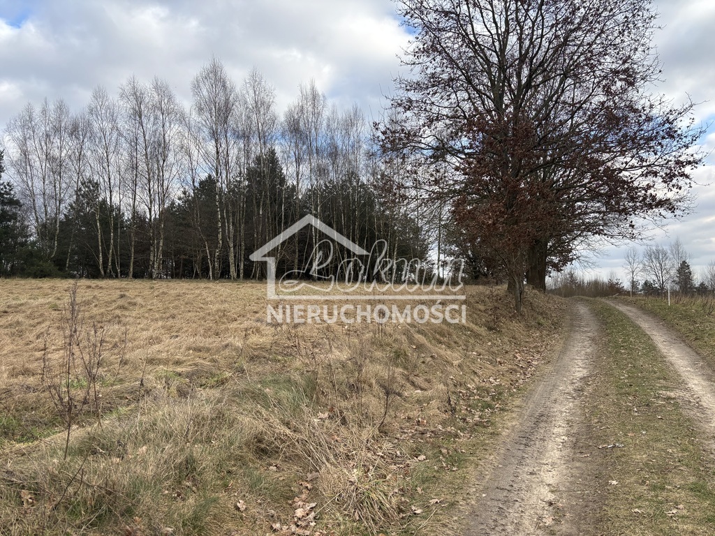 Działka budowlana 1855&nbsp;m², Kikorze - zdjęcie 9