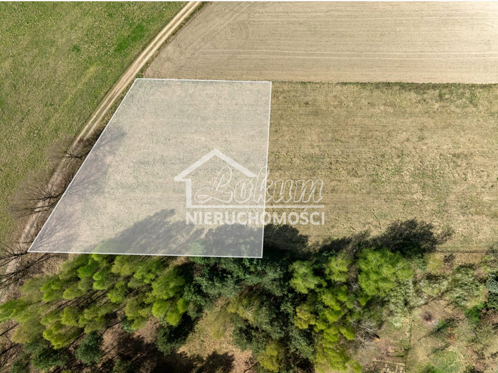 Działka budowlana 1855&nbsp;m², Kikorze - zdjęcie 2