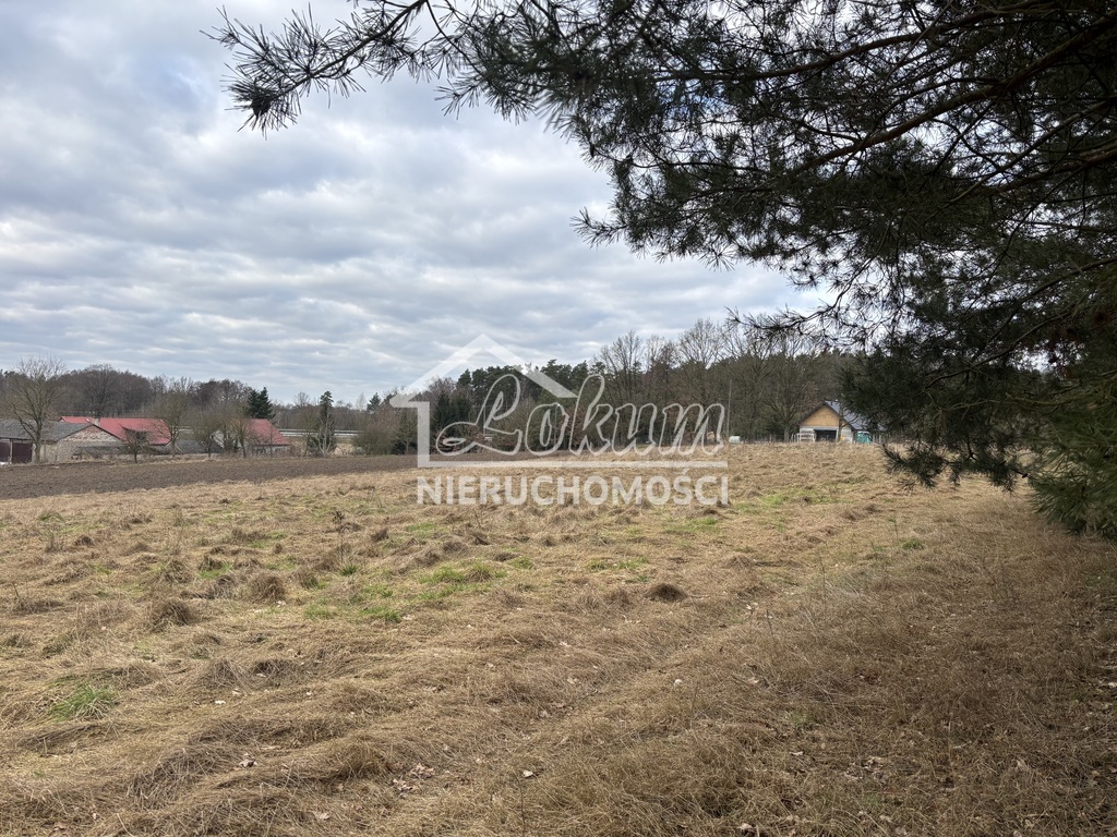 Działka budowlana 1855&nbsp;m², Kikorze - zdjęcie 8