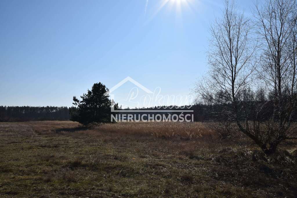 Działka rolna 1385&nbsp;m², Czartowo - zdjęcie 4