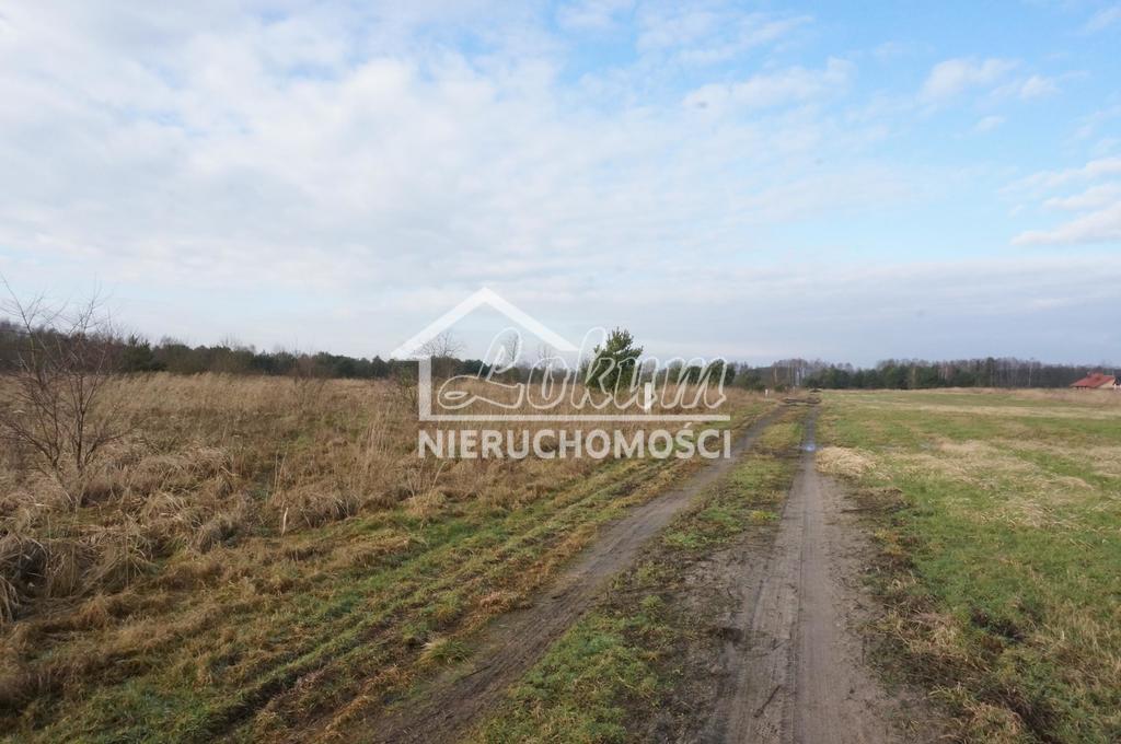 Działka budowlana 1505&nbsp;m², Białuń - zdjęcie 7