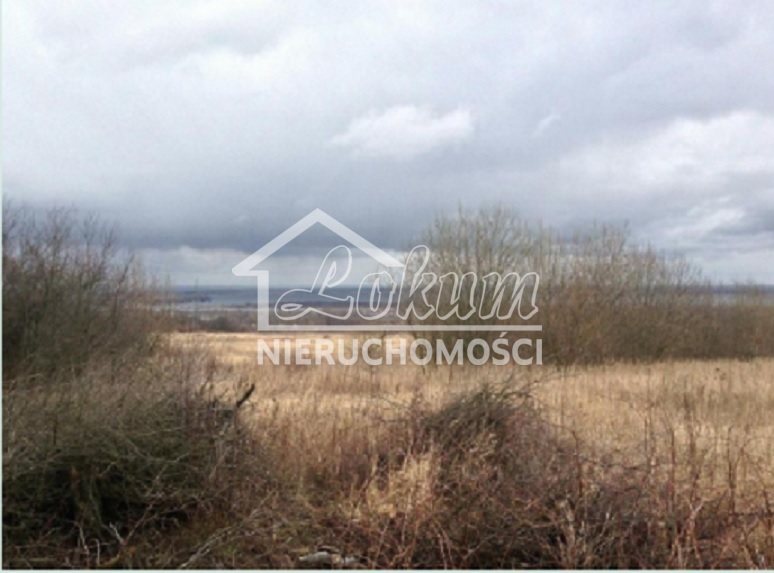 Działka budowlana 1,00 ha, Szczecin - zdjęcie 5