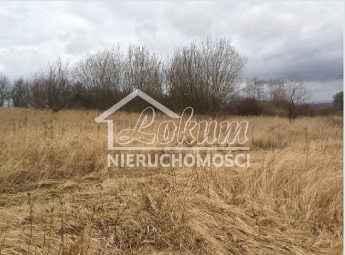 Działka budowlana 1,00 ha, Szczecin - zdjęcie 6