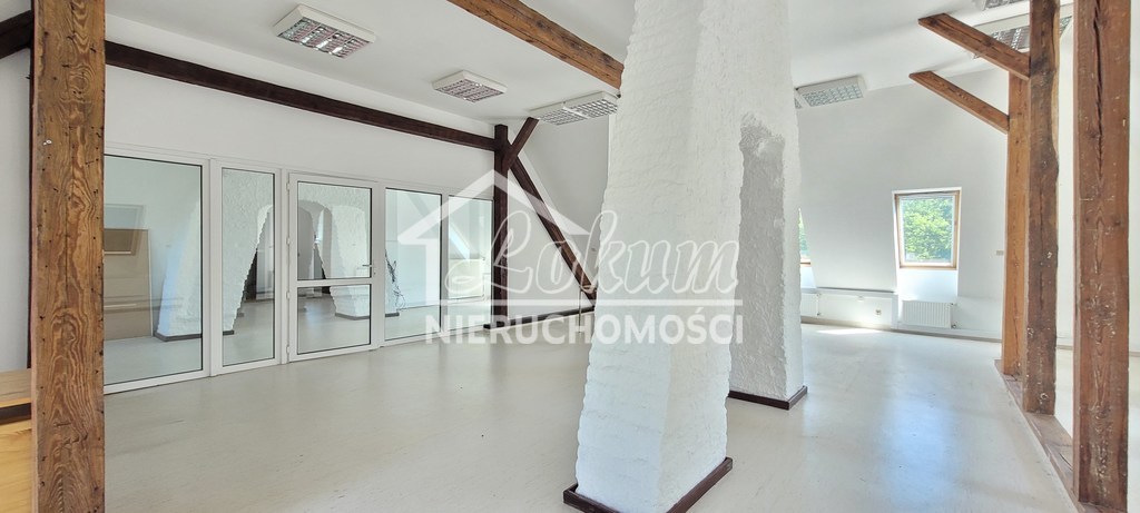 Lokal usługowy do wynajęcia, 170&nbsp;m², Szczecin - zdjęcie 2