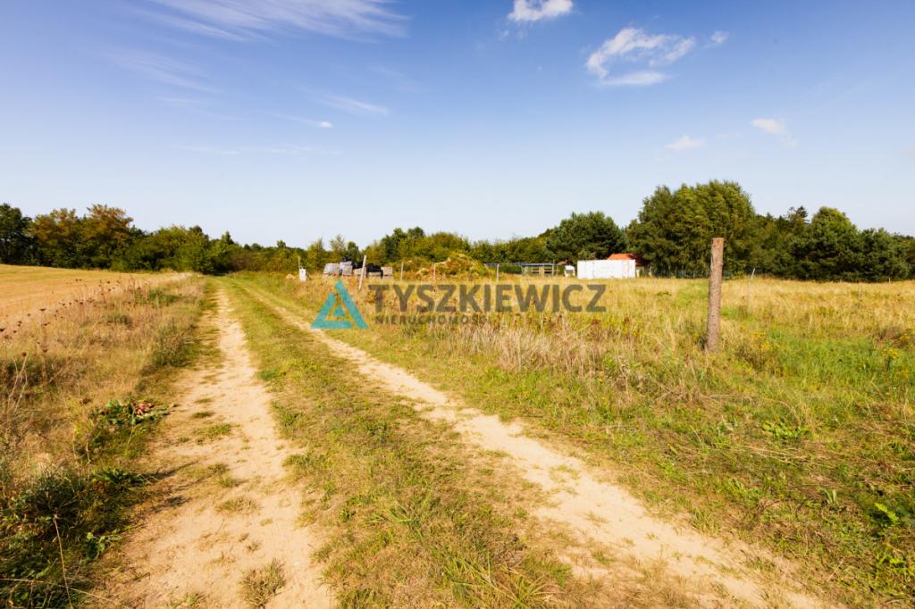 Działka z potencjałem inwestycyjnym - zdjęcie 7