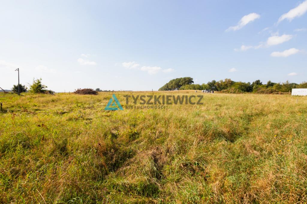 Działka z potencjałem inwestycyjnym - zdjęcie 15