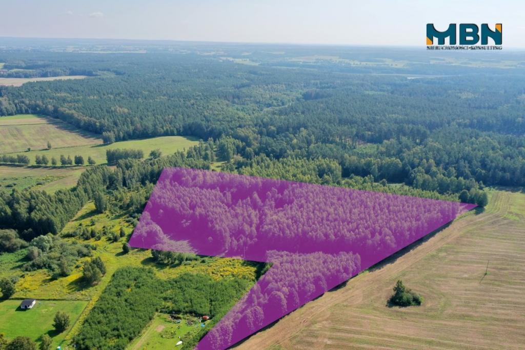 Działka rolna 2,96 ha, Pozezdrze - zdjęcie 4
