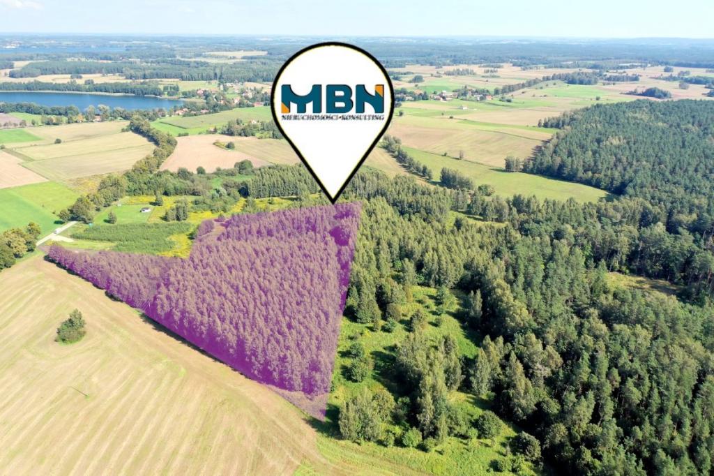 Działka rolna 2,96 ha, Pozezdrze - zdjęcie 10