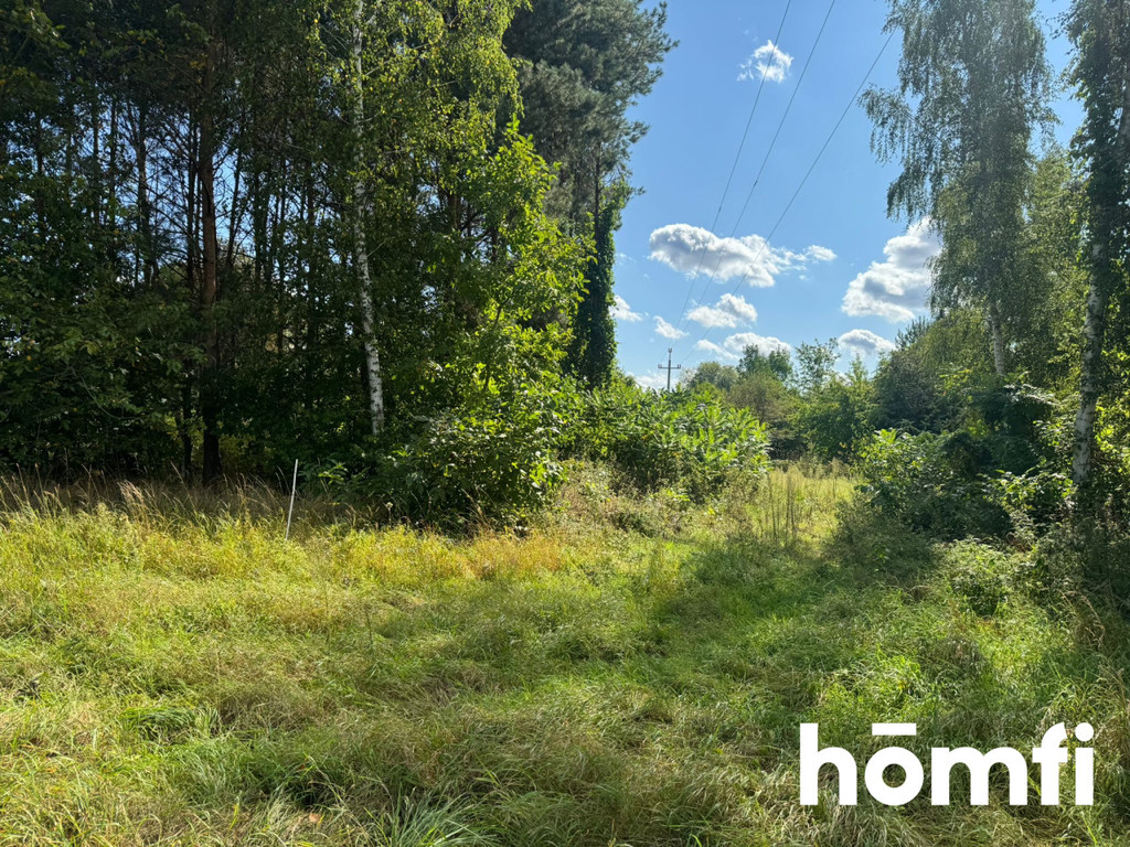Działka budowlana 2860&nbsp;m², Jaktorów, Błotna - zdjęcie 2