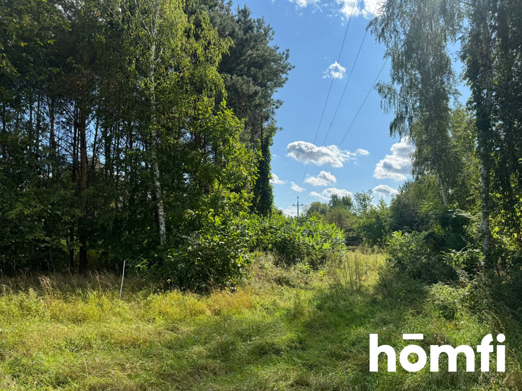 Działka budowlana 2860&nbsp;m², Jaktorów, Błotna - zdjęcie 4