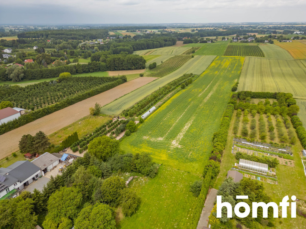 Działka rolna 3002 m², Motycz - zdjęcie 6