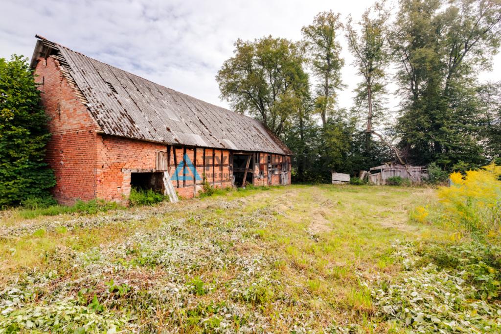 Działka siedliskowa 3 239 m² z zabudowaniami - zdjęcie 8