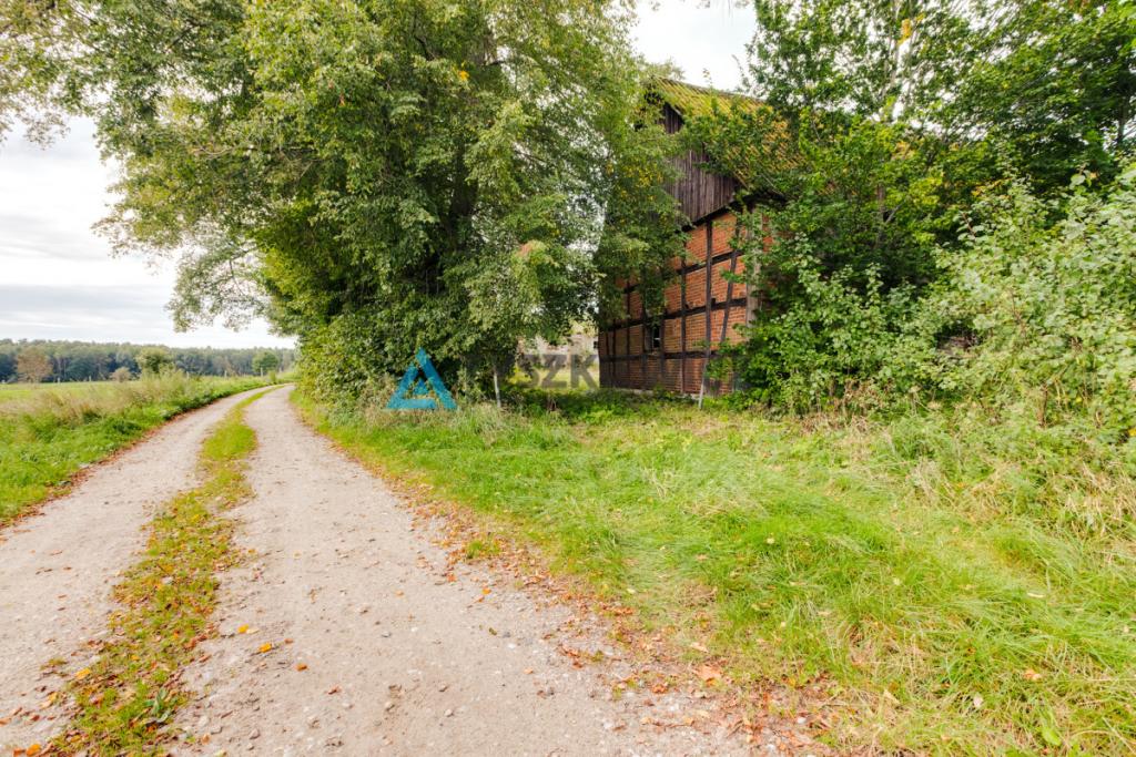 Działka siedliskowa 3 239 m² z zabudowaniami - zdjęcie 9