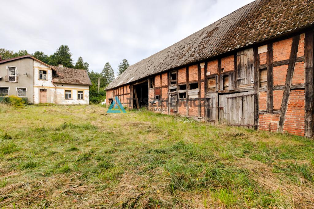 Działka siedliskowa 3 239 m² z zabudowaniami - zdjęcie 5