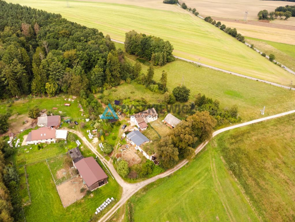 Działka siedliskowa 3 239 m² z zabudowaniami - zdjęcie 2
