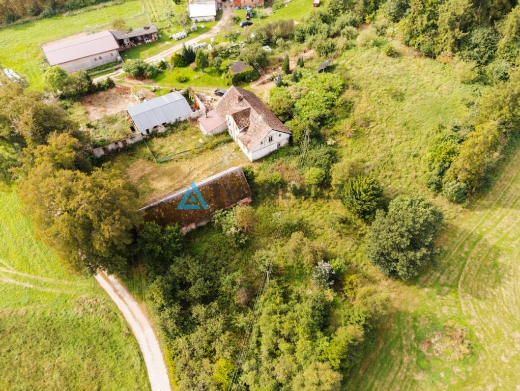 Działka siedliskowa 3 239 m² z zabudowaniami - zdjęcie 4