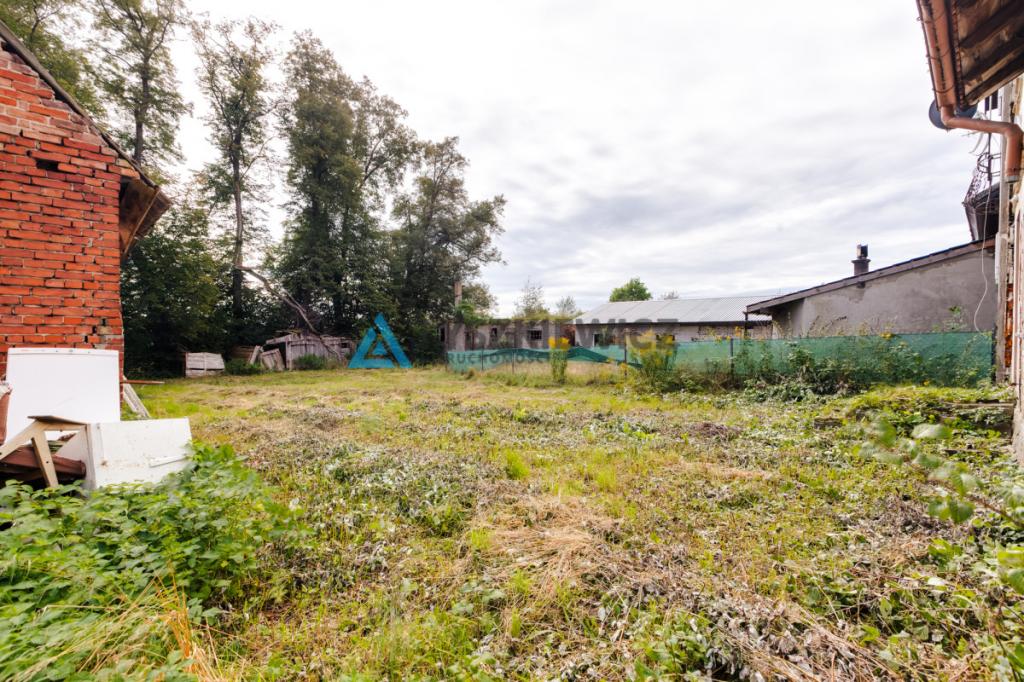 Działka siedliskowa 3 239 m² z zabudowaniami - zdjęcie 7