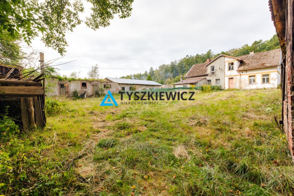 Działka siedliskowa 3 239 m² z zabudowaniami - zdjęcie 1