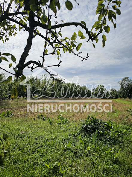 Dom 140 m², Lisie Pole - zdjęcie 10