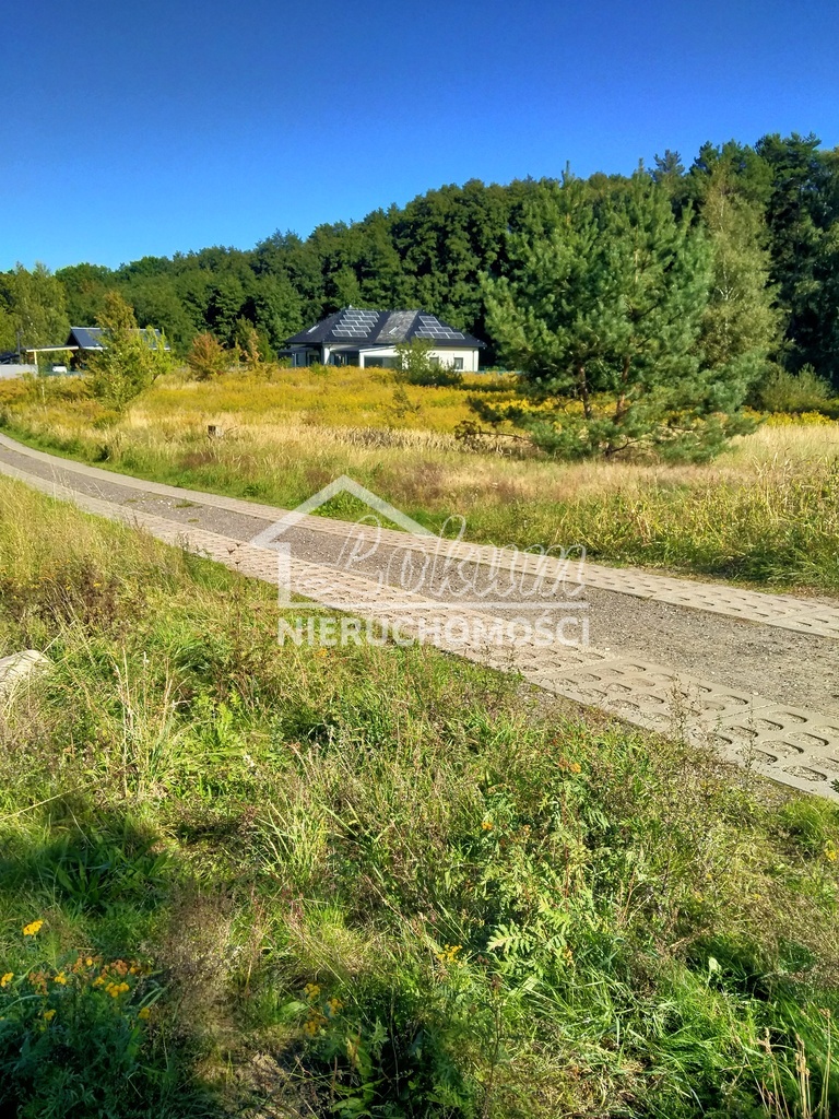 Działka budowlana 2001&nbsp;m², Pilchowo - zdjęcie 6