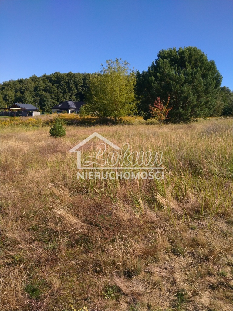 Działka budowlana 2001&nbsp;m², Pilchowo - zdjęcie 2