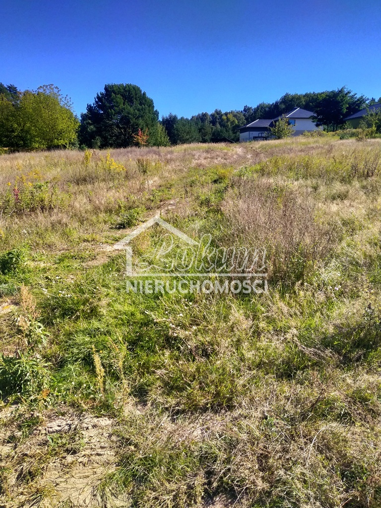 Działka budowlana 2001&nbsp;m², Pilchowo - zdjęcie 4