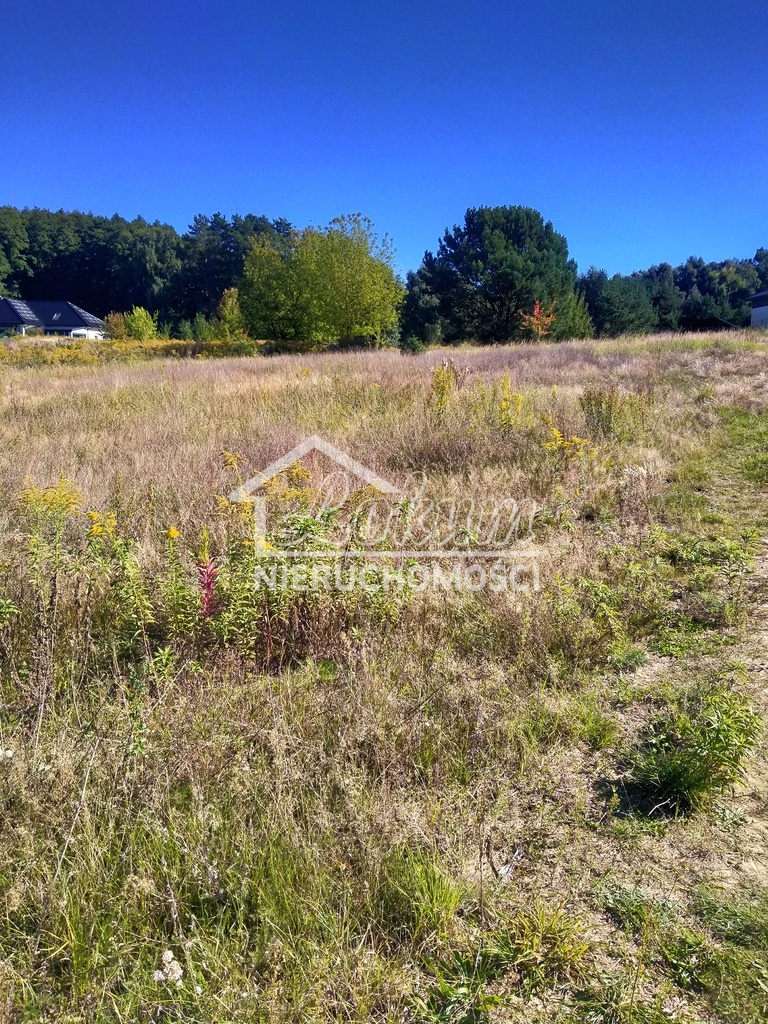 Działka budowlana 2001&nbsp;m², Pilchowo - zdjęcie 8