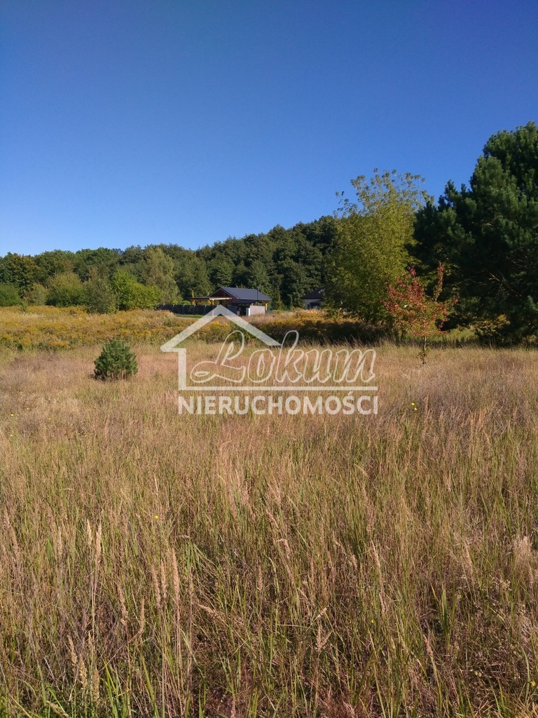 Działka budowlana 2001&nbsp;m², Pilchowo - zdjęcie 1