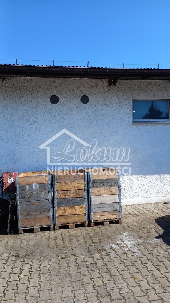 Lokal usługowy na sprzedaż, 495 m², Przecław, Przecław - zdjęcie 3