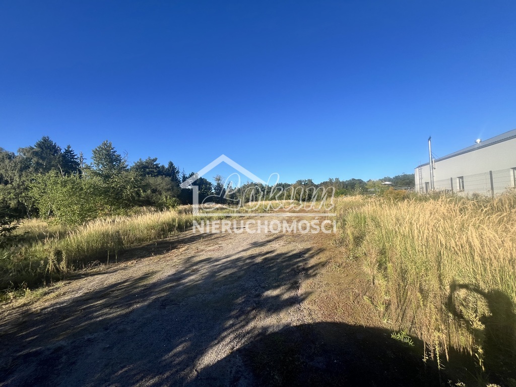 Działka inwestycyjna 3118 m², Sierakowo - zdjęcie 6