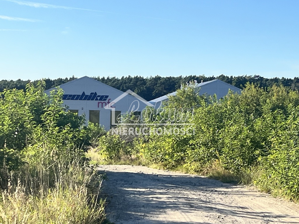 Działka inwestycyjna 3118&nbsp;m², Sierakowo - zdjęcie 3