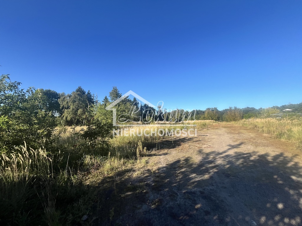 Działka inwestycyjna 3118&nbsp;m², Sierakowo - zdjęcie 5